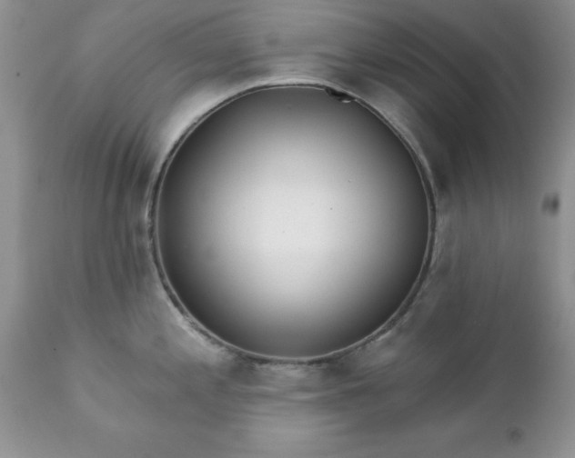 X0000111791197200907301138