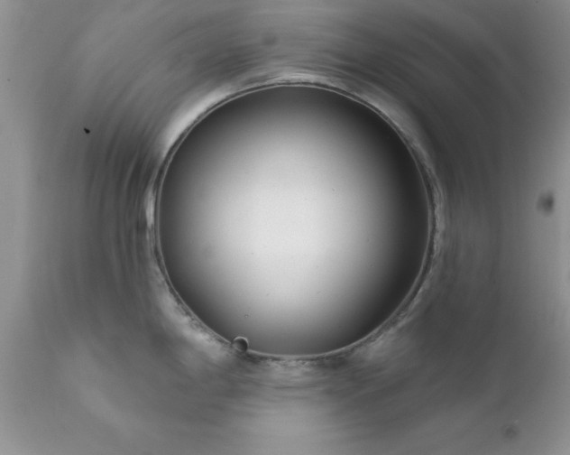 X0000111791198200907301138