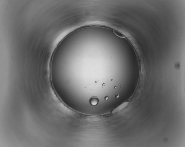 X0000111791199200907301138