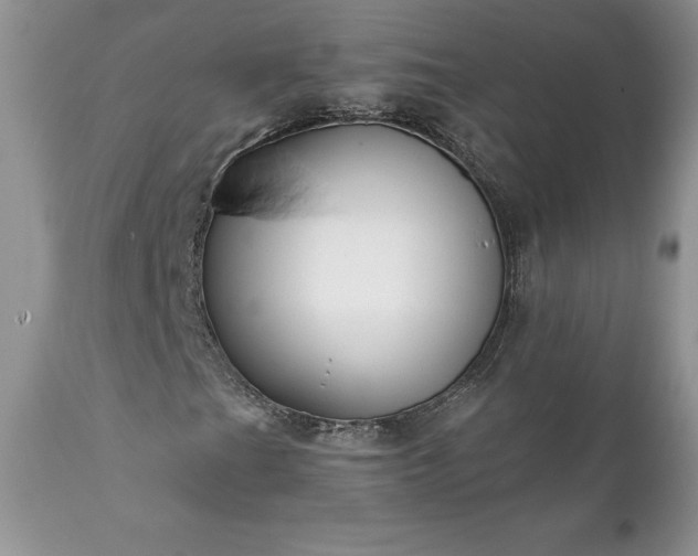 X0000111791201200907301137