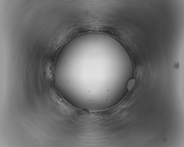 X0000111791202200907301137