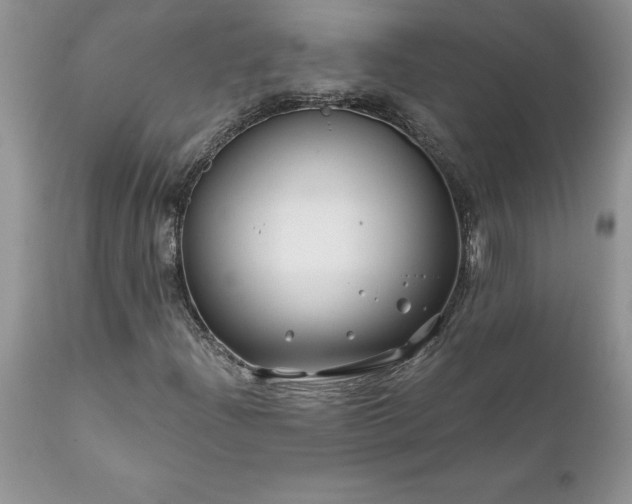 X0000111791204200907301137