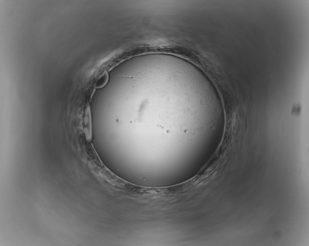 X0000111791205200907301137