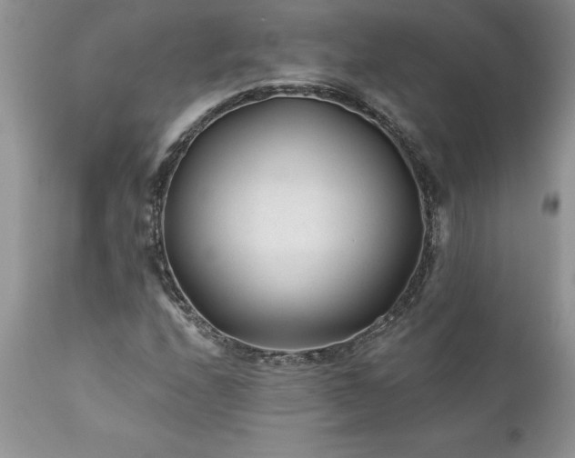 X0000111791208200907301137