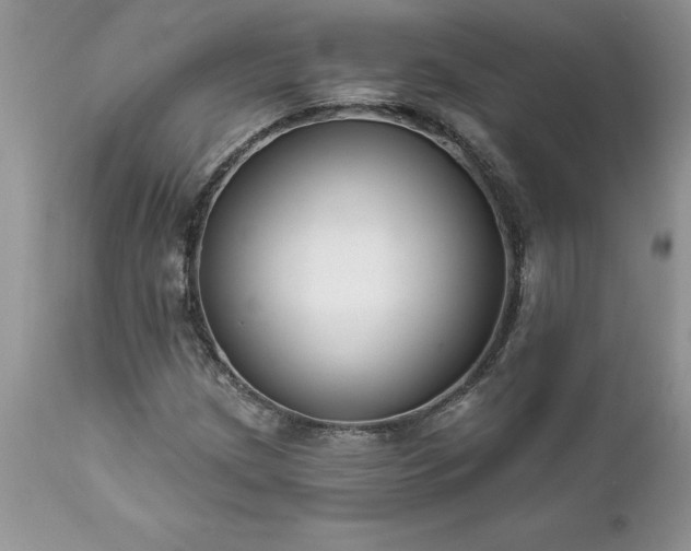 X0000111791209200907301137