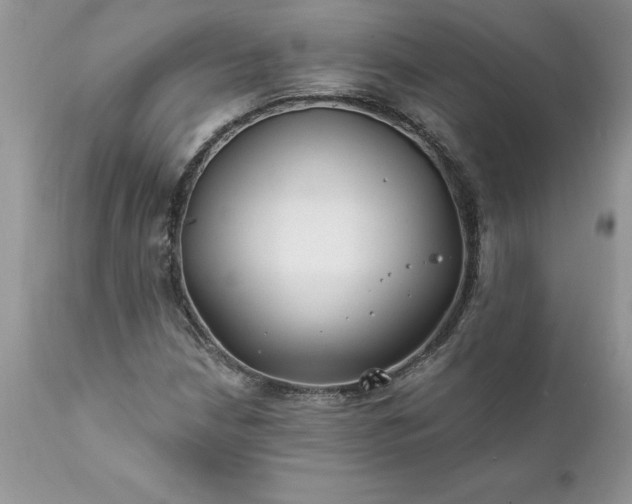 X0000111791210200907301137