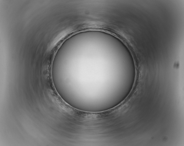 X0000111791211200907301137