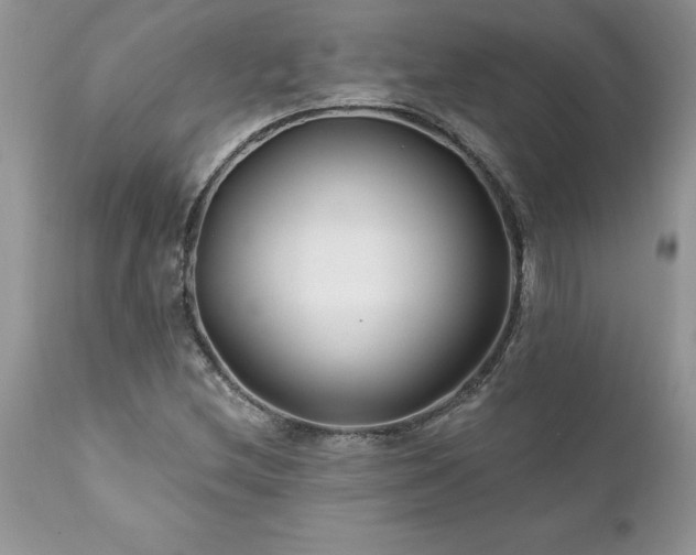 X0000111791212200907301137