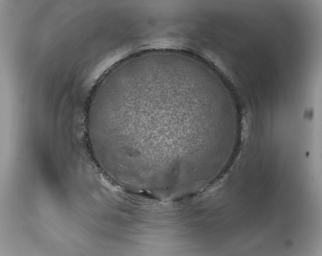 X0000111791213200907301137