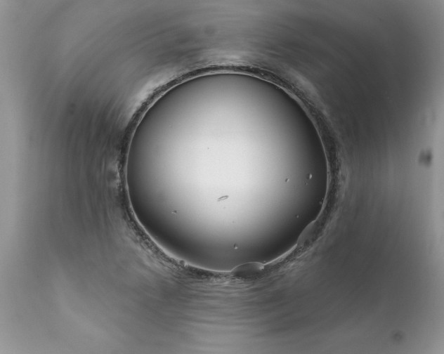 X0000111791218200907301137