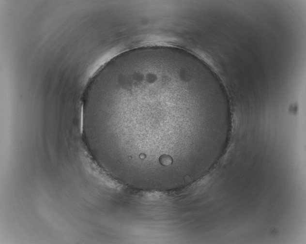 X0000111791219200907301137