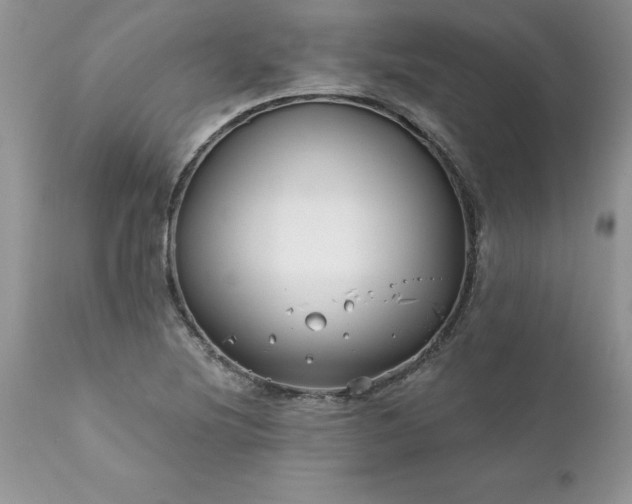 X0000111791220200907301137