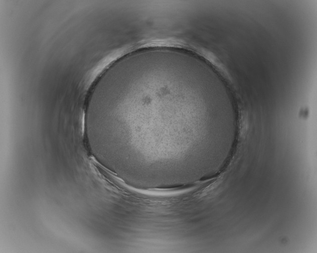 X0000111791221200907301137