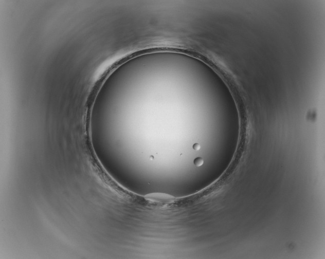 X0000111791222200907301138