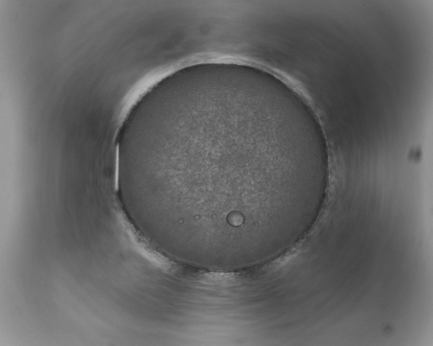 X0000111791223200907301138