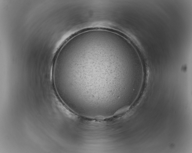 X0000111791224200907301138