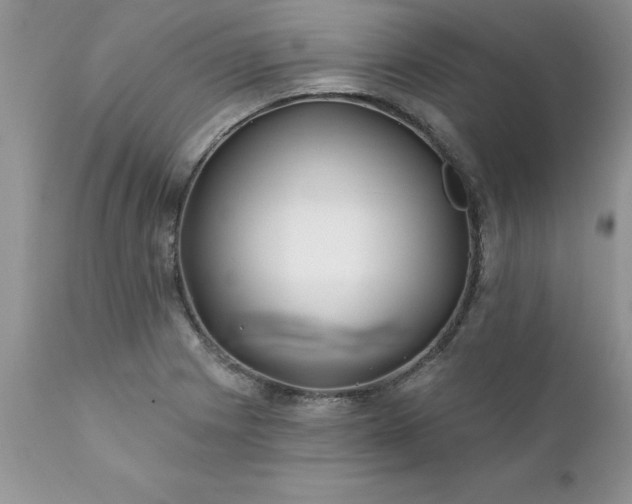 X0000111791225200907301138