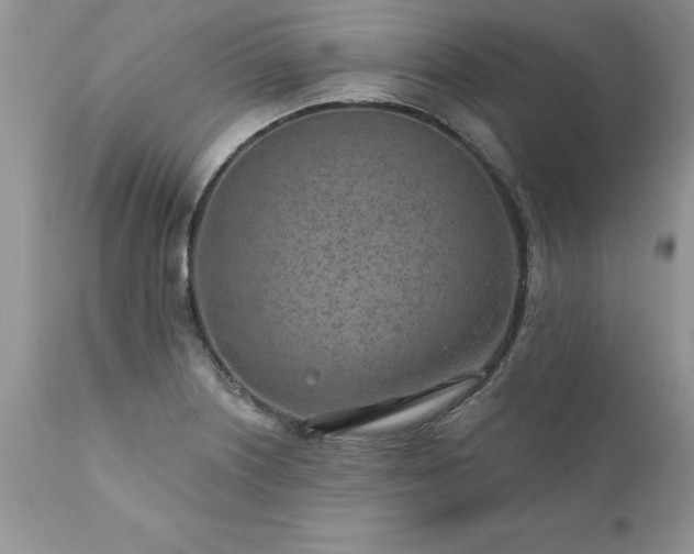 X0000111791226200907301138