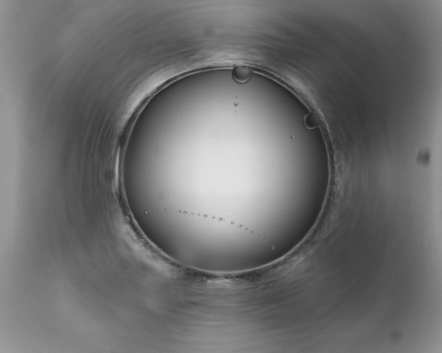 X0000111791227200907301138