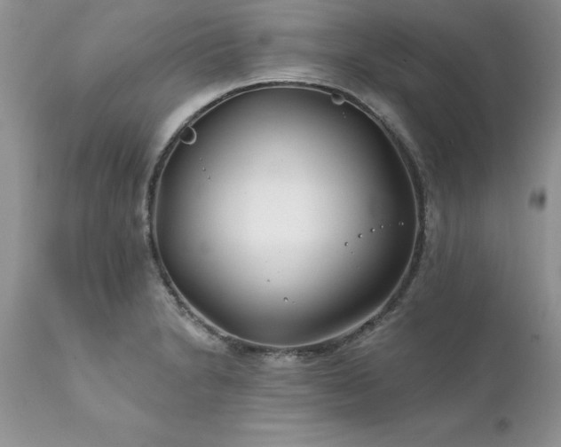 X0000111791230200907301138