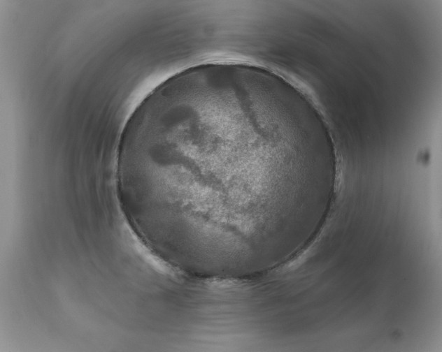 X0000111791231200907301138