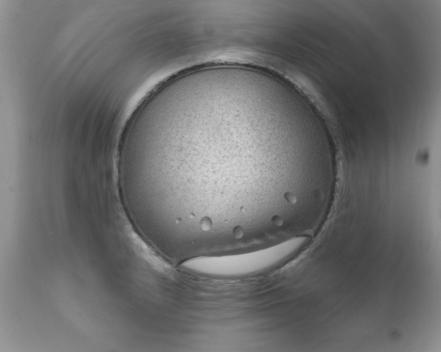 X0000111791232200907301138