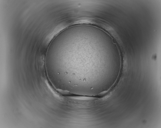 X0000111791233200907301138