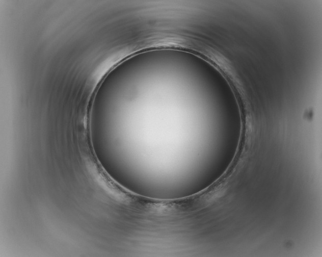 X0000111791234200907301138