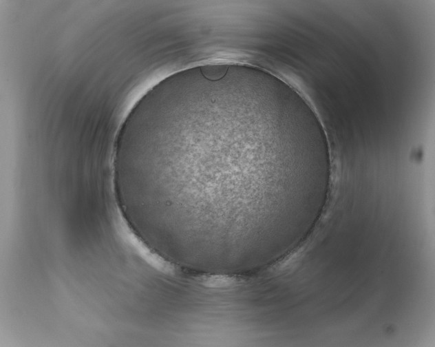 X0000111791235200907301138