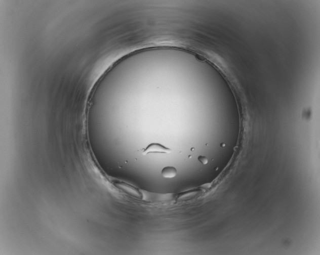 X0000111791236200907301138