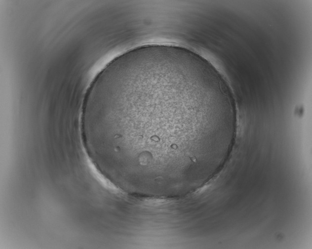 X0000111791237200907301138