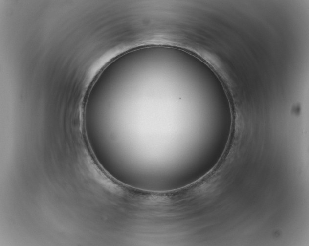 X0000111791238200907301138