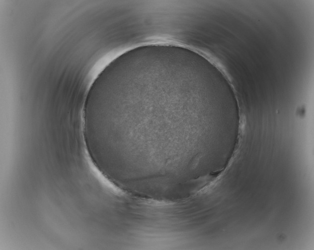 X0000111791239200907301138