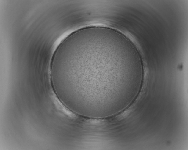 X0000111791240200907301138