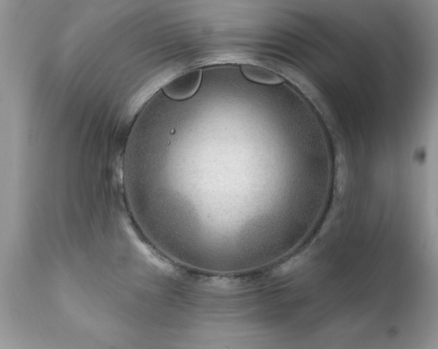 X0000111791241200907301138