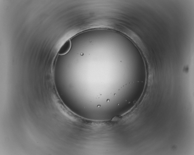 X0000111791242200907301138