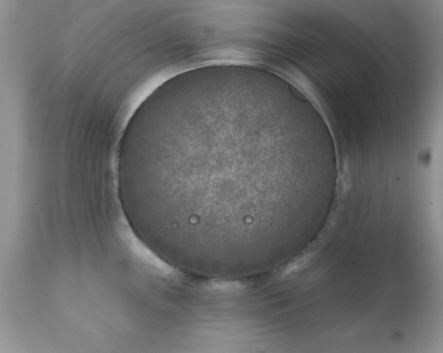 X0000111791243200907301138