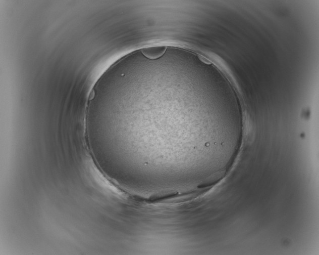 X0000111791244200907301138