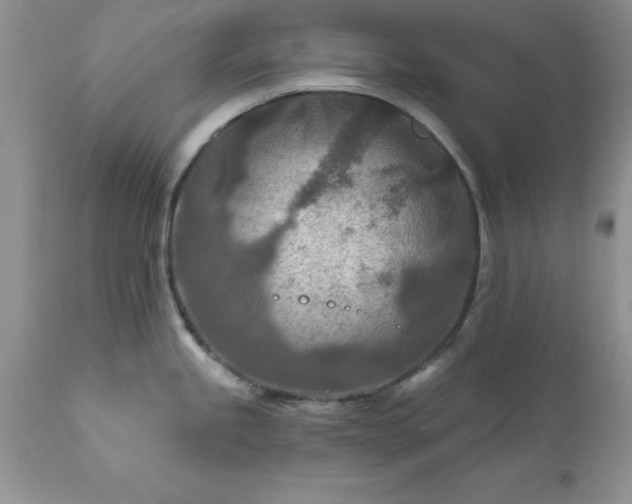 X0000111791245200907301138