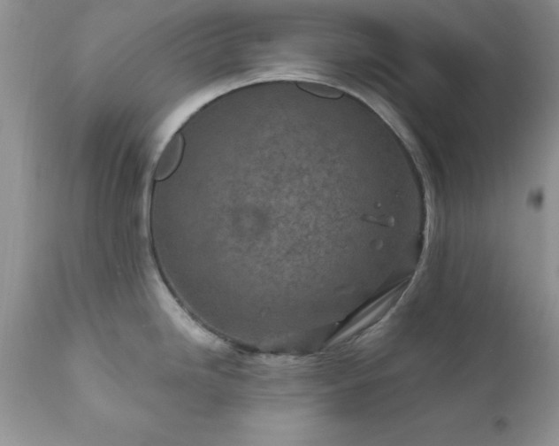 X0000111791246200907301138