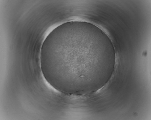 X0000111791247200907301138