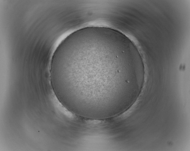 X0000111791248200907301138