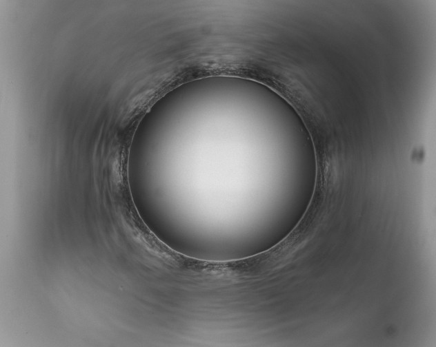 X0000111791250200907301137