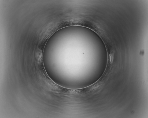 X0000111791251200907301137