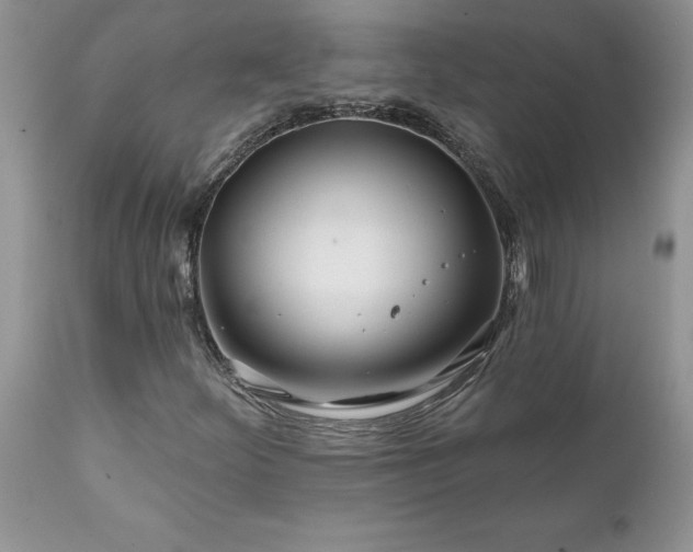 X0000111791252200907301137