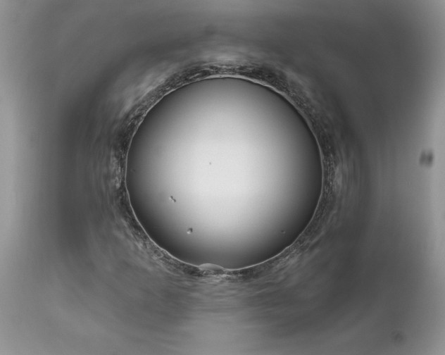 X0000111791253200907301137