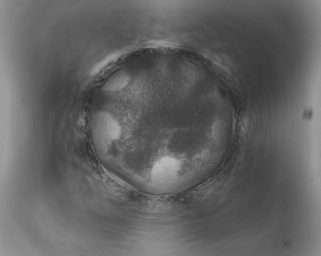 X0000111791254200907301137