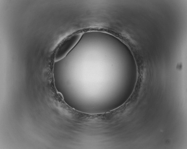 X0000111791256200907301137