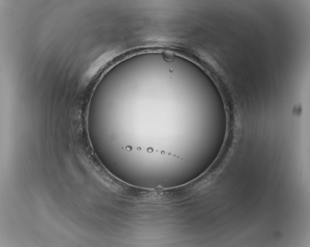 X0000111791259200907301137