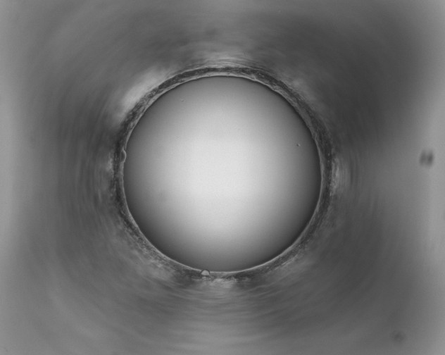 X0000111791261200907301137